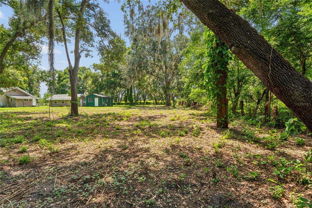 6202 Stafford Road Plant City, FL 33565 - Photo 45 of 79