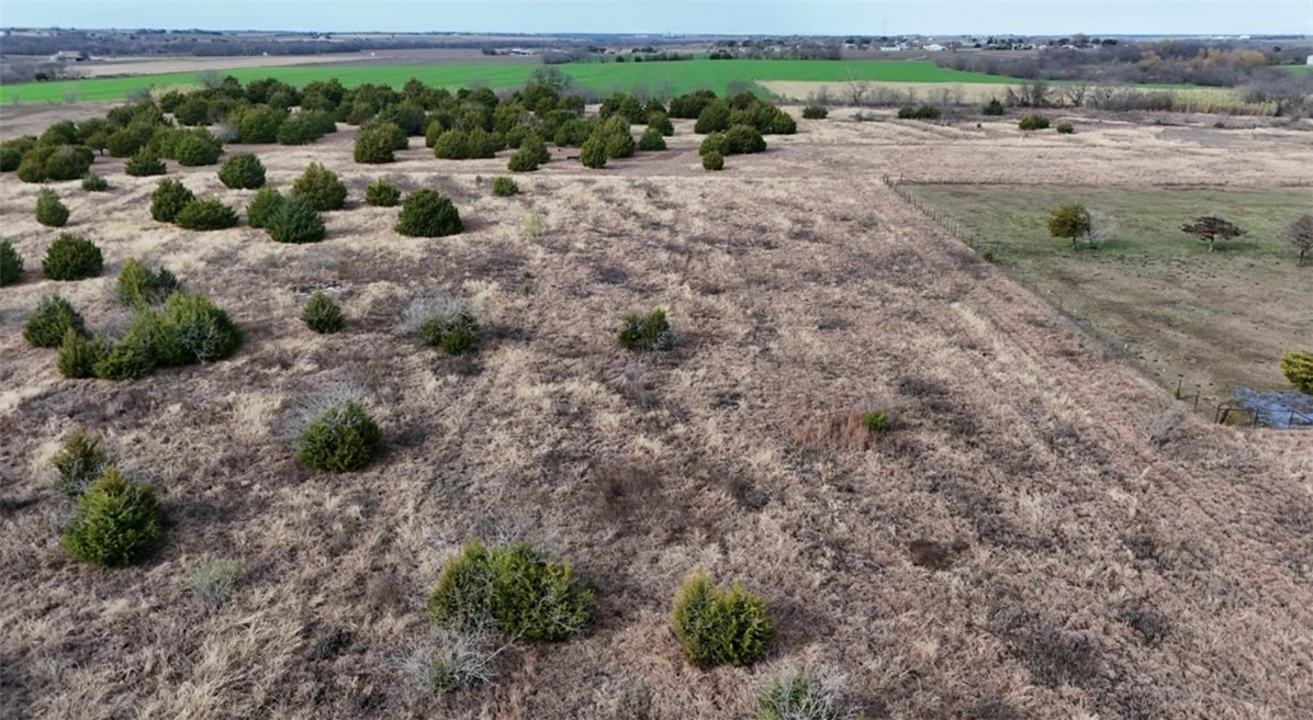 3473 Bluhm Road West, TX 76691 - Photo 6 of 8