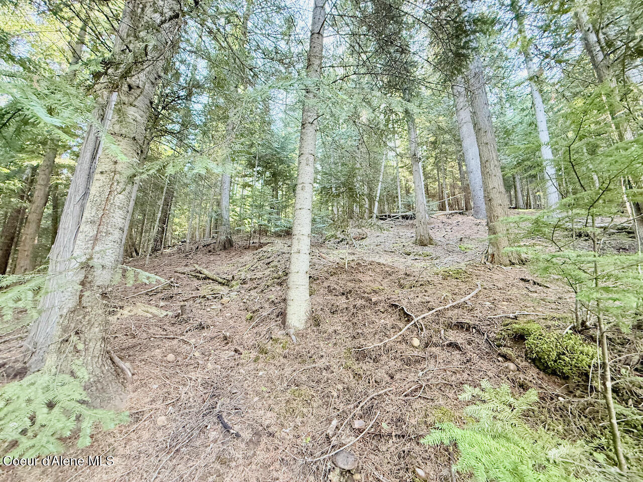 498 Revenue Gulch Road Wallace, ID 83873 - Photo 17 of 19 16