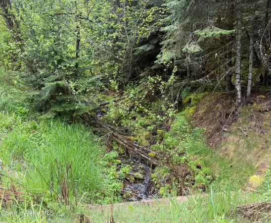 $159,999 | 498 Revenue Gulch Road, Wallace, ID 83873