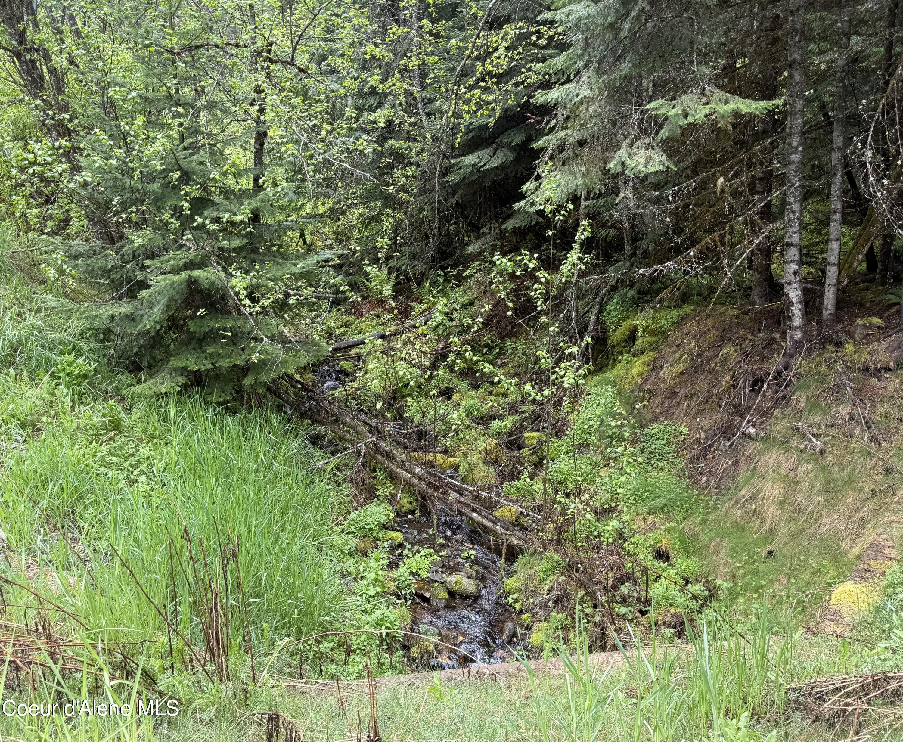 498 Revenue Gulch Road Wallace, ID 83873 - Photo 18 of 19 FullSizeRender copy