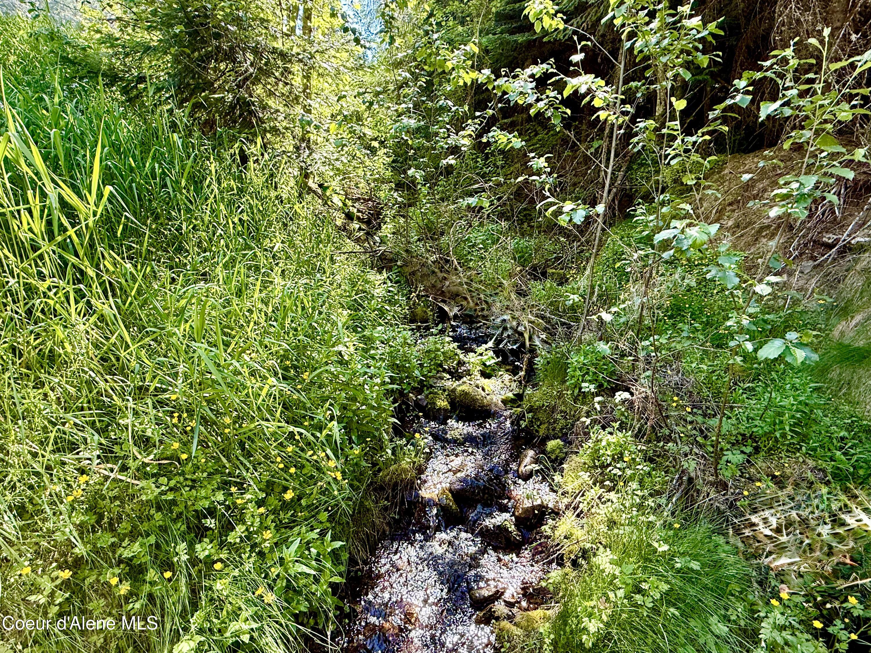 498 Revenue Gulch Road Wallace, ID 83873 - Photo 19 of 19 IMG_0684