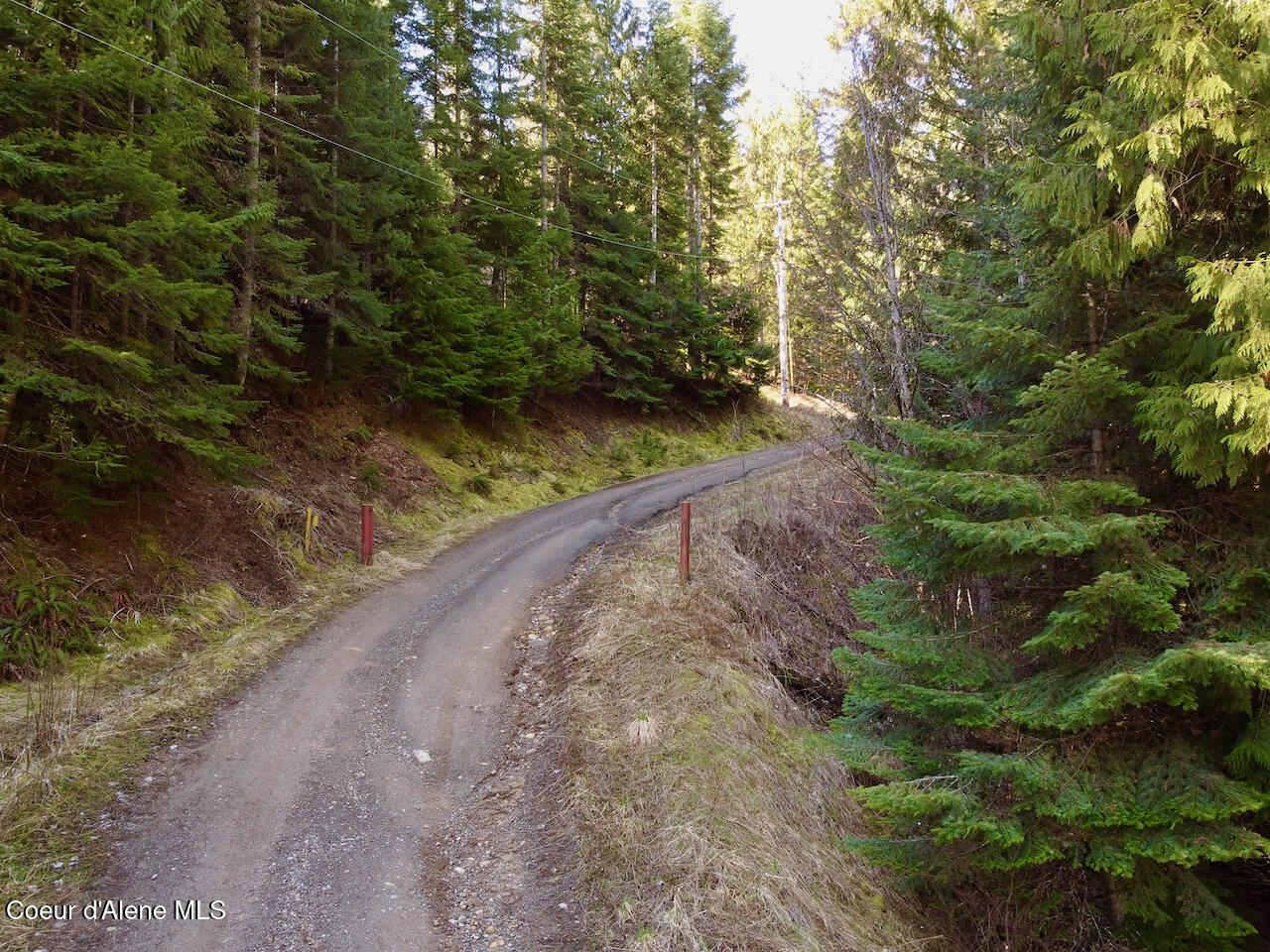 498 Revenue Gulch Road Wallace, ID 83873 - Photo 3 of 19 2