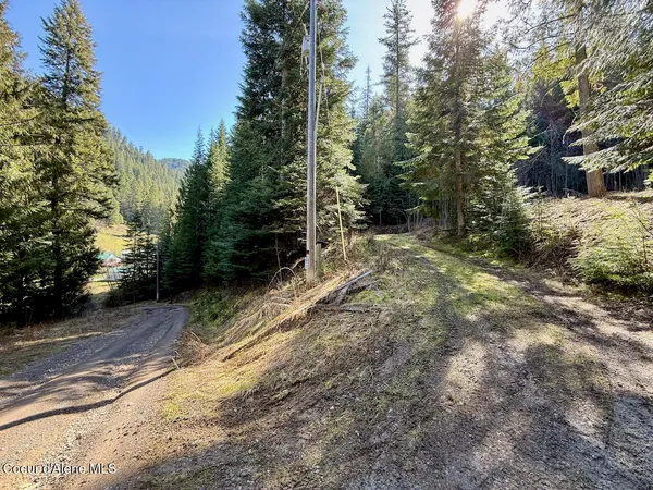 $159,999 | 498 Revenue Gulch Road, Wallace, ID 83873