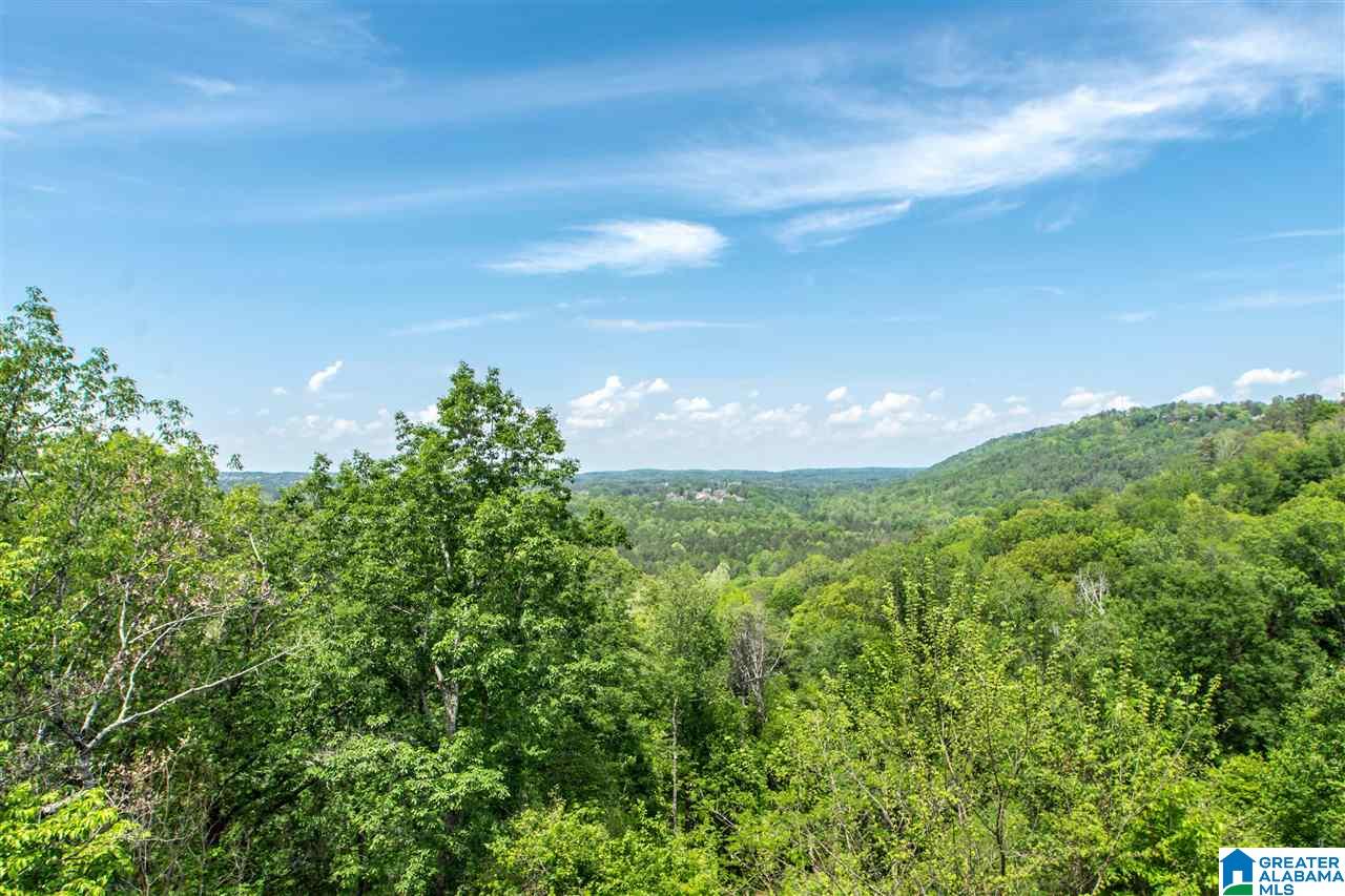 212 Shades Crest Road Birmingham, AL 35226 - Photo 17 of 39