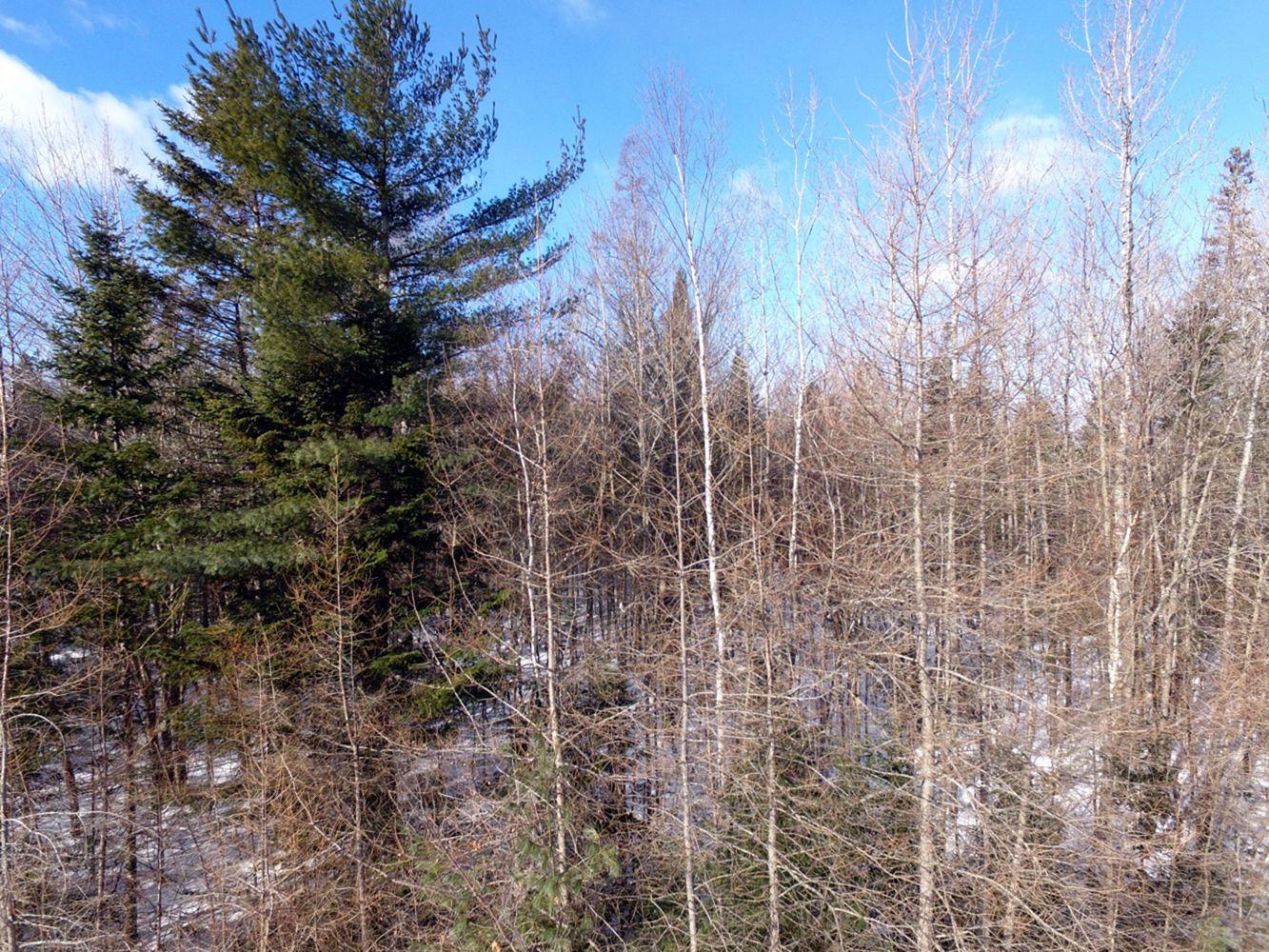 2 Pine Bluff Road Embden, ME 04958 - Photo 28 of 36 DJI_0009