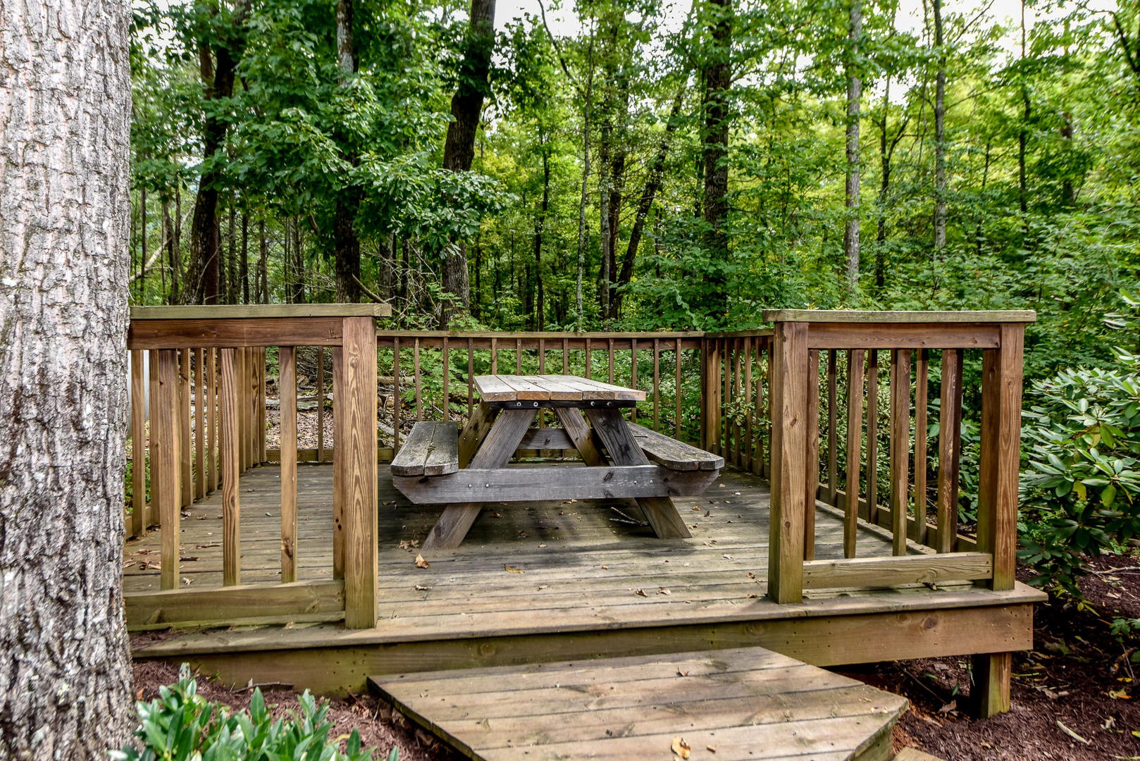 3454 Robeson Road Sevierville, TN 37862 - Photo 37 of 39