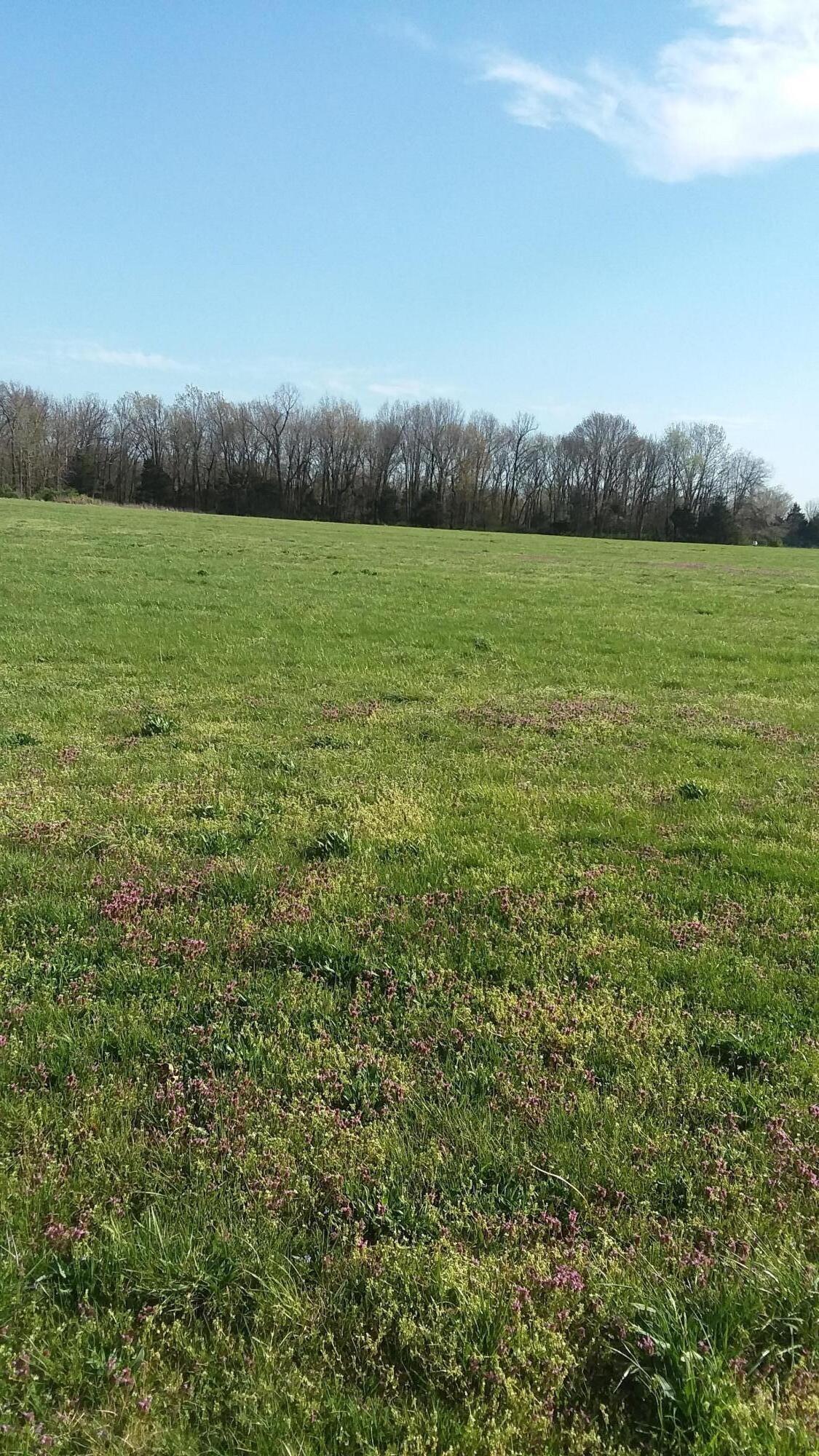 0 Lawrence 1090 Monett, MO 65708 - Photo 1 of 1 60187403