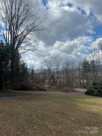 a view of outdoor space with green space