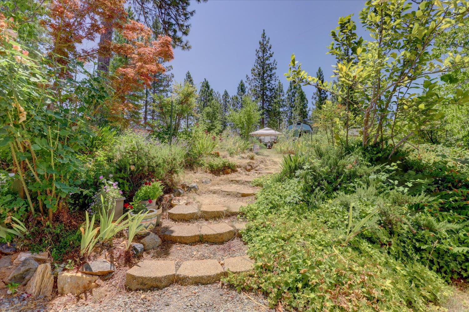 11823 Lost Ranch Way Nevada City, CA 95959 - Photo 57 of 78
