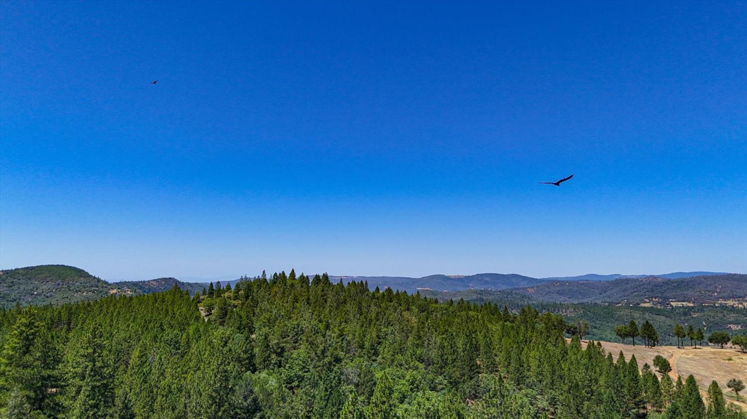 11823 Lost Ranch Way Nevada City, CA 95959 - Photo 75 of 78