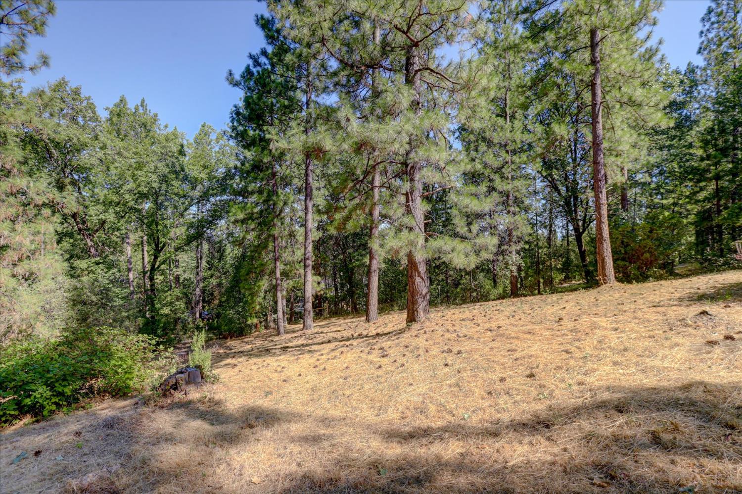 11823 Lost Ranch Way Nevada City, CA 95959 - Photo 76 of 78