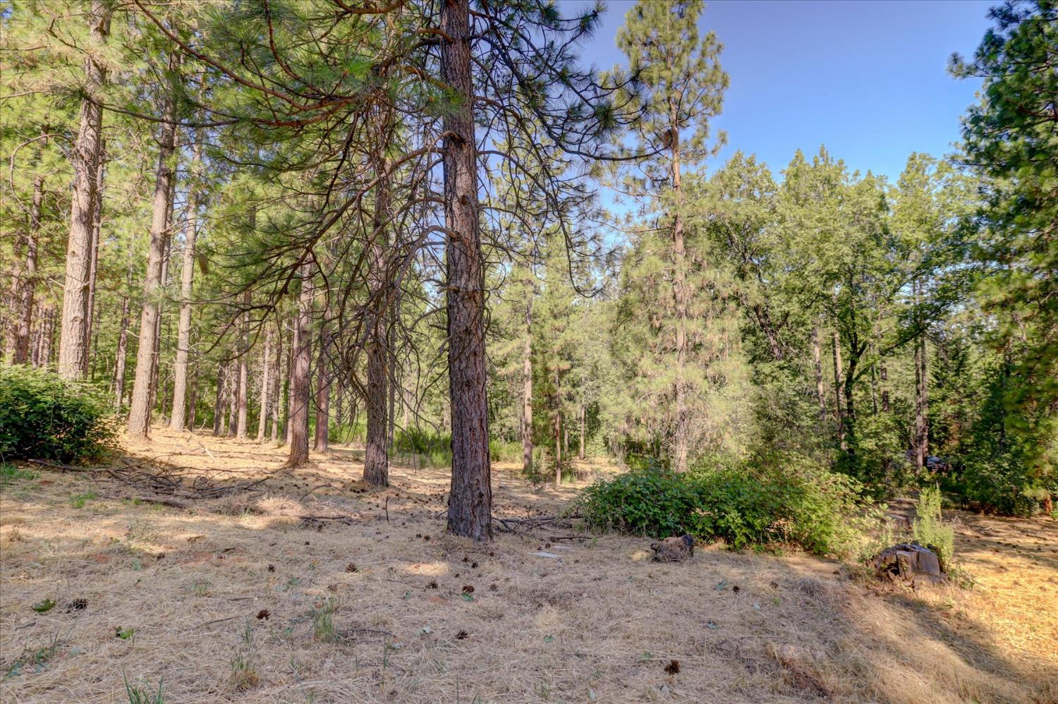 11823 Lost Ranch Way Nevada City, CA 95959 - Photo 77 of 78