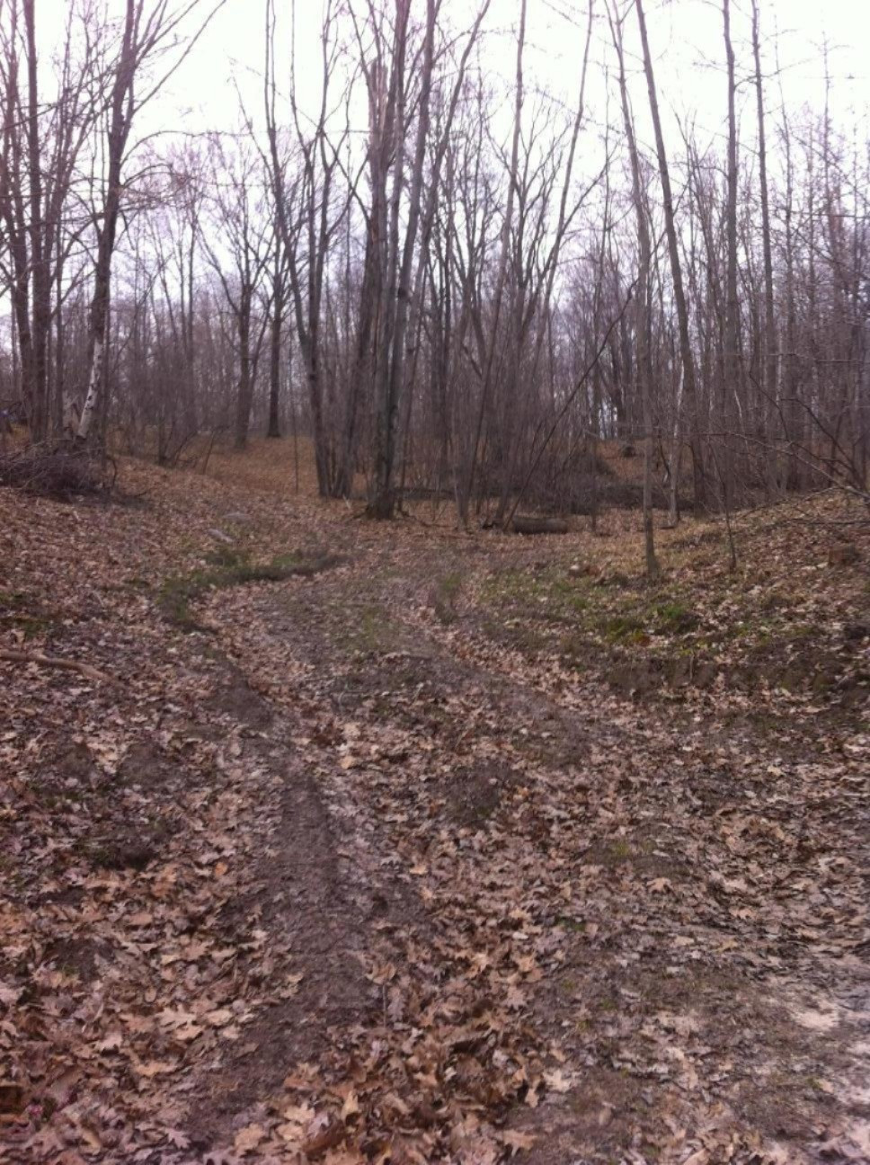 West River Road Weidman, MI 48893 - Photo 4 of 4 photo 3