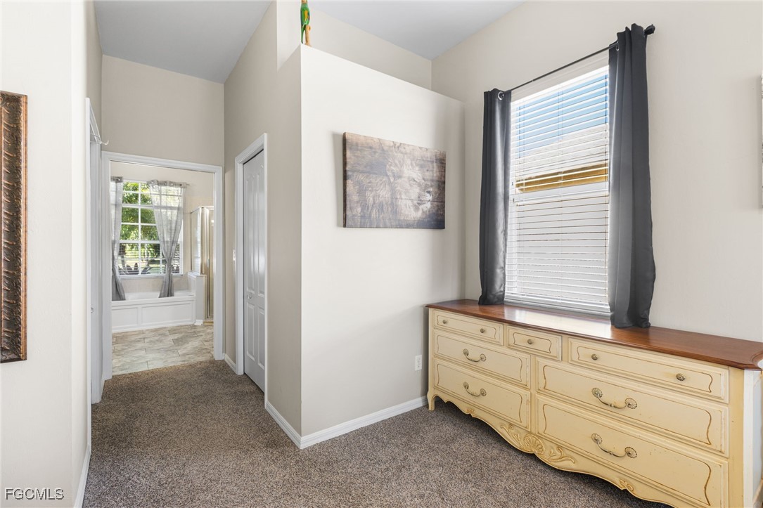 15079 Balmoral Loop Fort Myers, FL 33919 - Photo 19 of 38