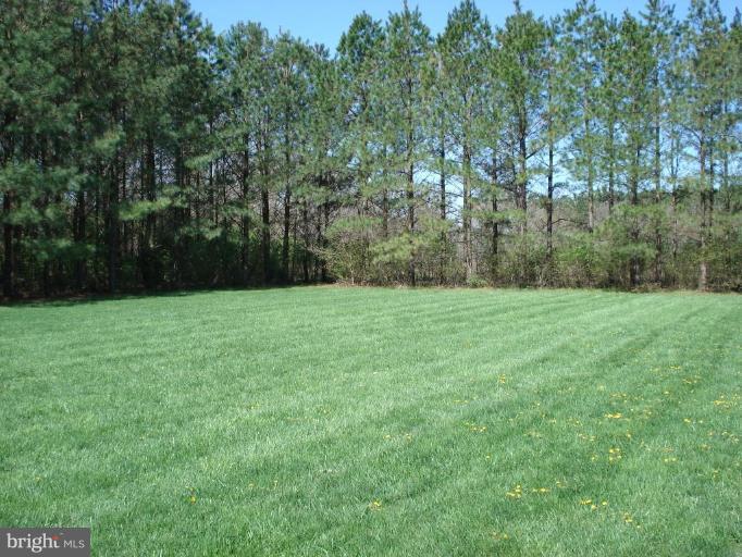 7598 Pendleton Farm Road Easton, MD 21601 - Photo 22 of 29 Back yard