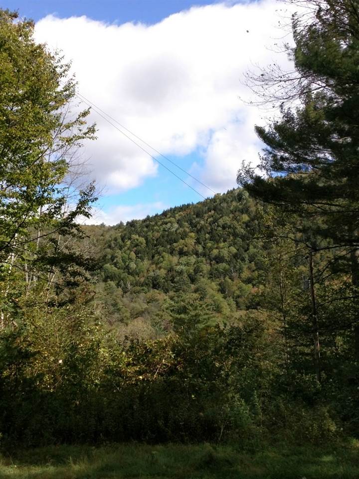 8769 Highway 14 Brookfield, VT 05036 - Photo 21 of 40