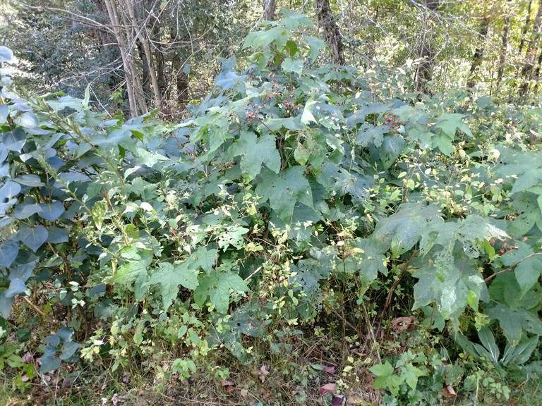 8769 Highway 14 Brookfield, VT 05036 - Photo 25 of 40