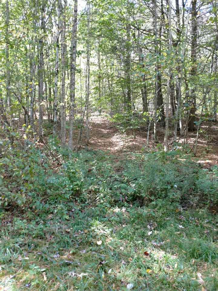 8769 Highway 14 Brookfield, VT 05036 - Photo 34 of 40