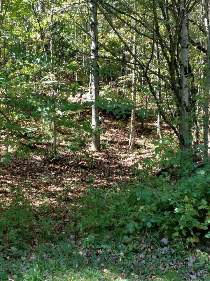 8769 Highway 14 Brookfield, VT 05036 - Photo 6 of 40