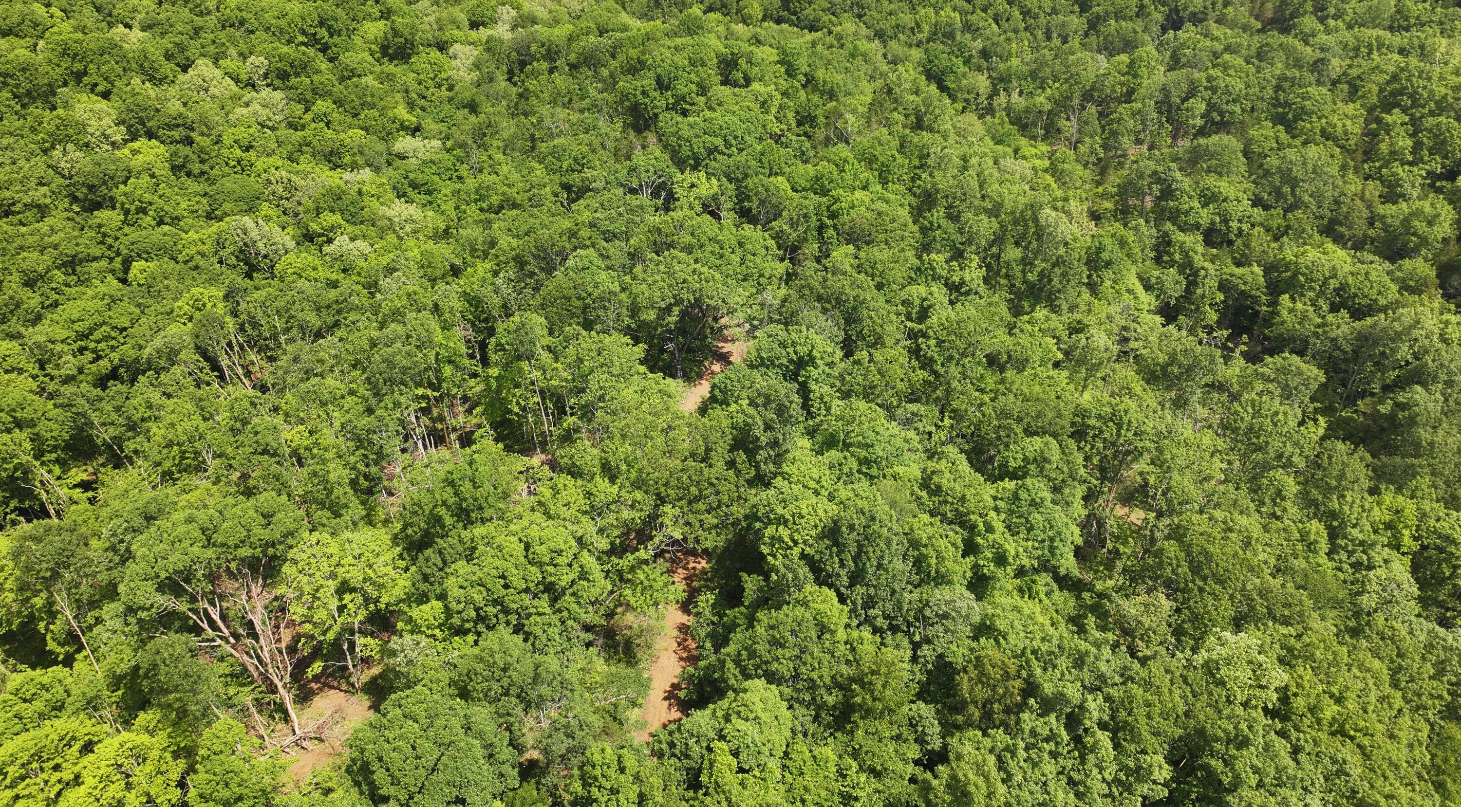 3990 Claxon Ridge Road Owenton, KY 40359 - Photo 11 of 19