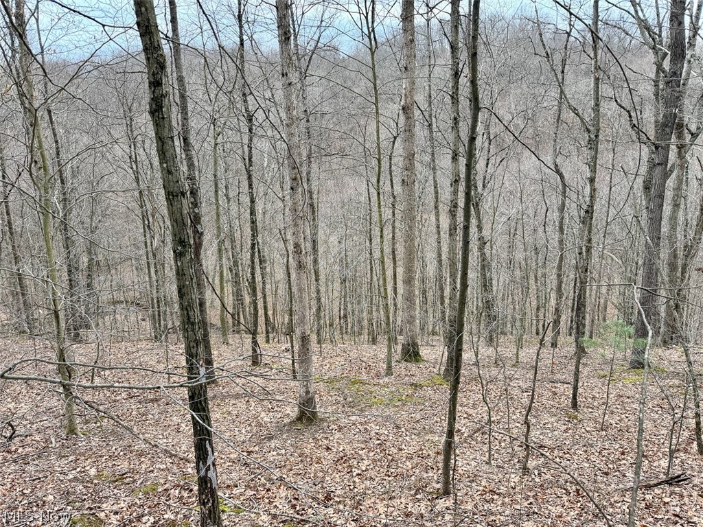 Hanson Road Beverly, OH 45715 - Photo 5 of 45