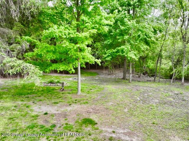 9103 Bridge Street Dimondale, MI 48821 - Photo 46 of 62 brandon 3