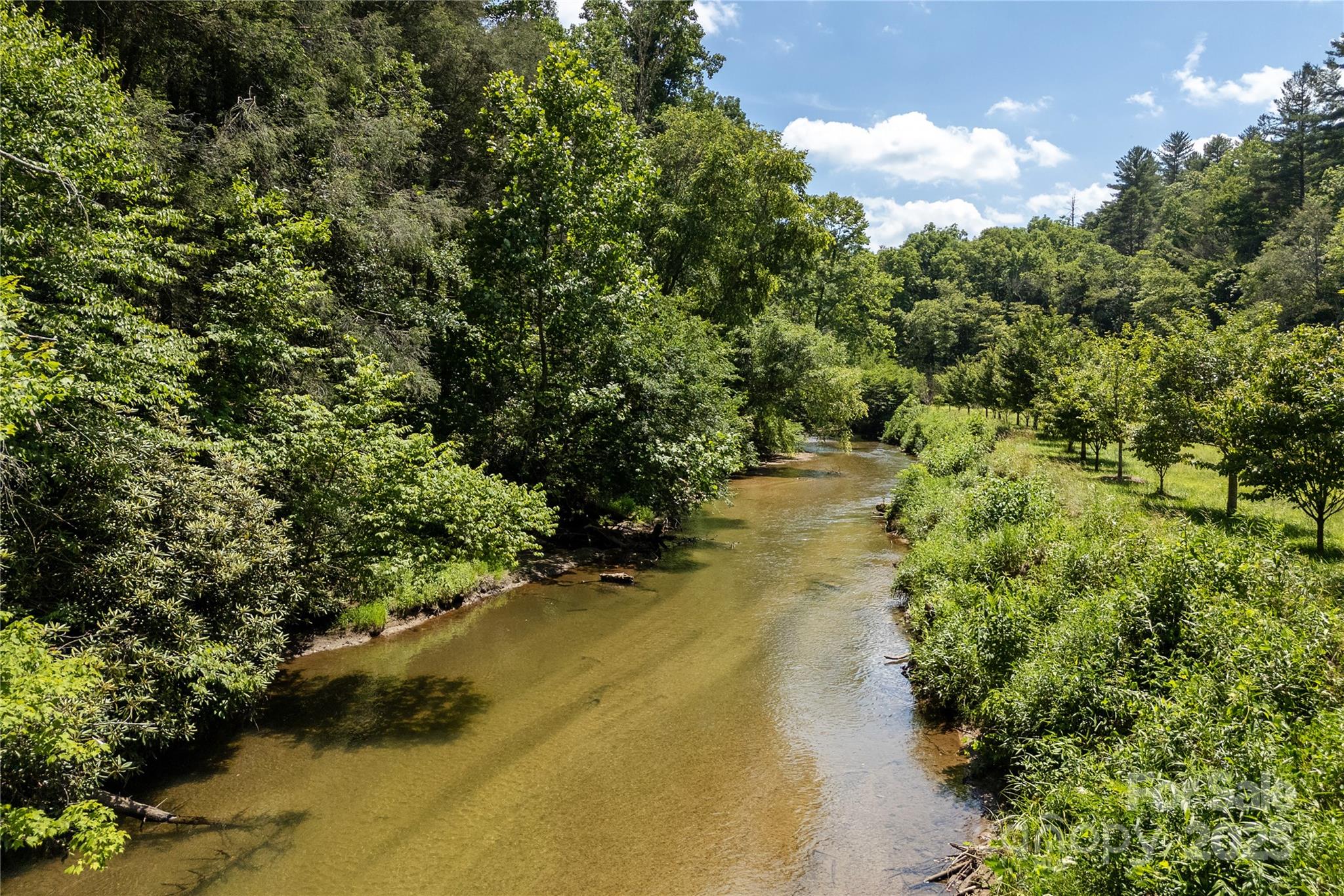 458 Rio Verde Drive Zirconia, NC 28790 - Photo 23 of 34 a view of a yard with a tree
