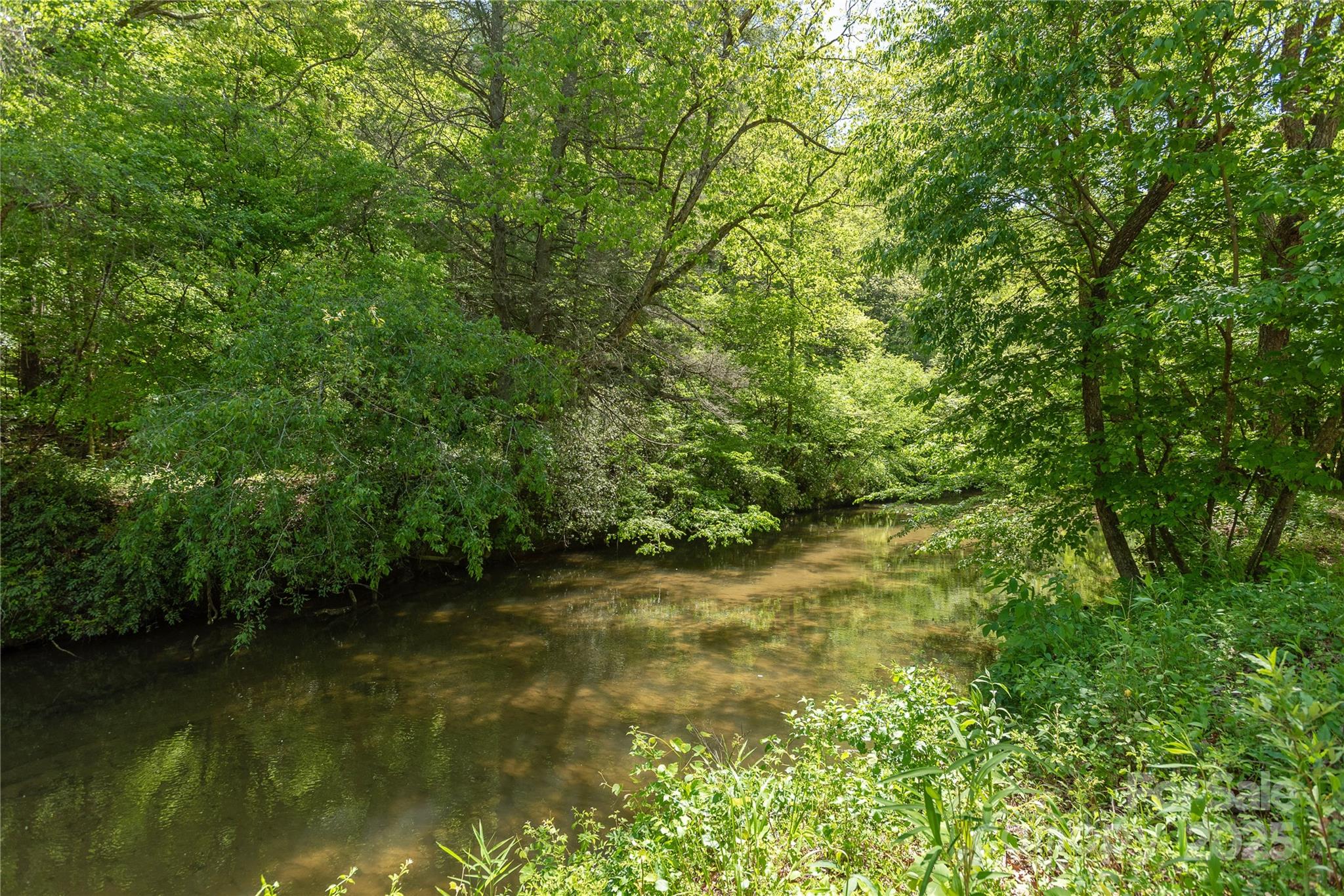 458 Rio Verde Drive Zirconia, NC 28790 - Photo 24 of 34 a view of a lake view with a tree