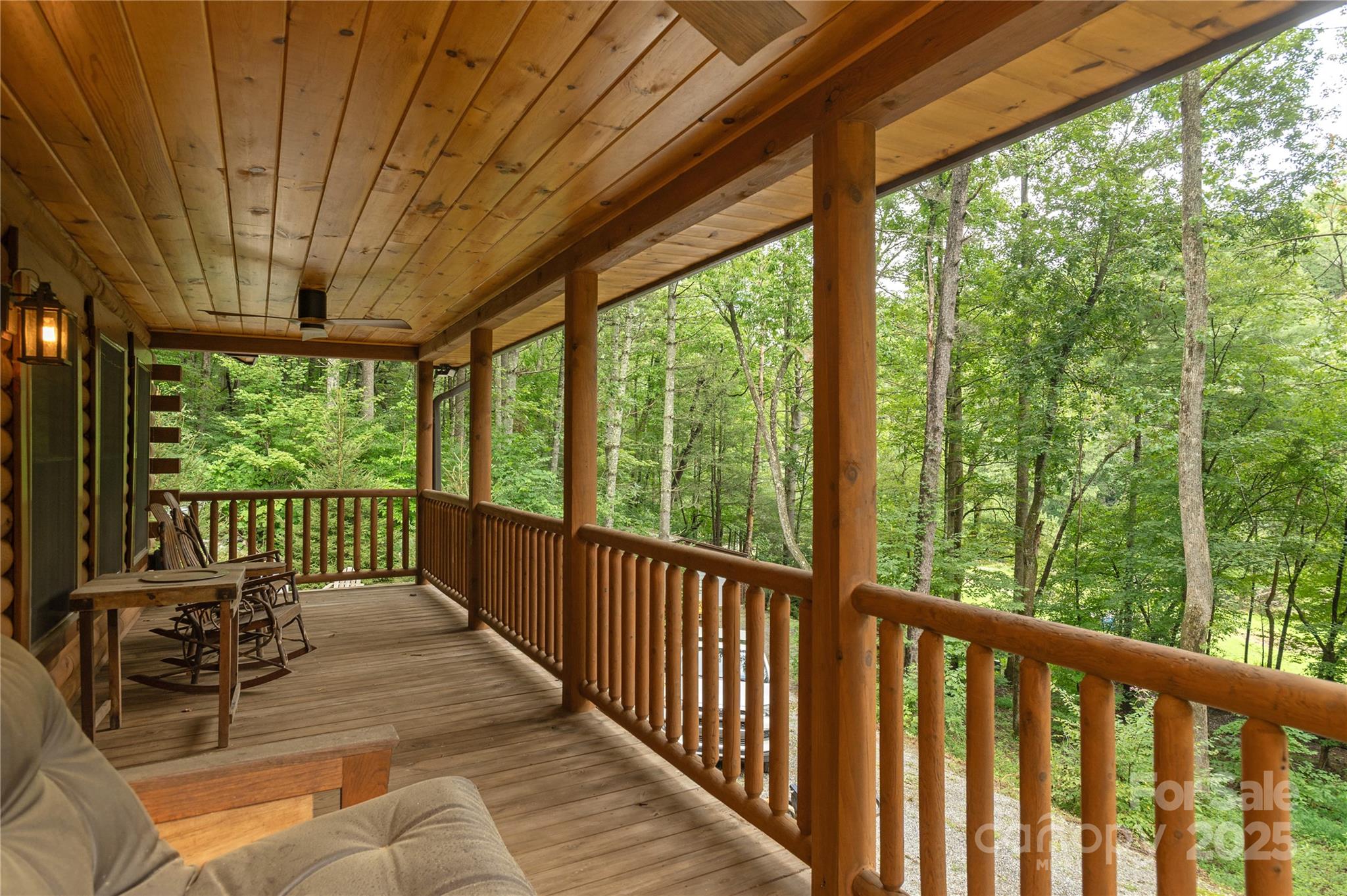 458 Rio Verde Drive Zirconia, NC 28790 - Photo 6 of 34