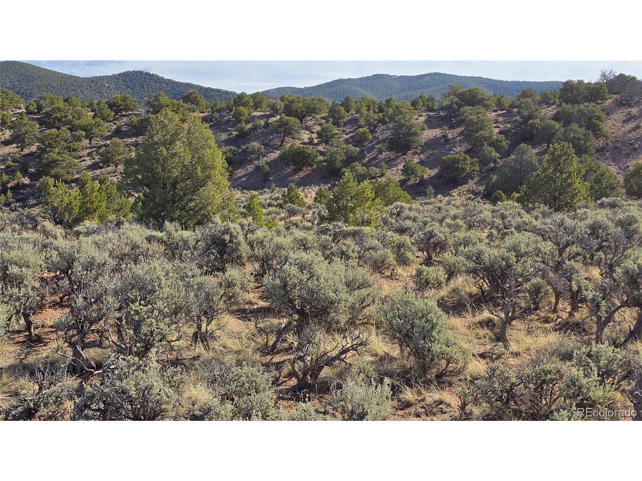7340 Sweany Road Fort Garland, CO 81133 - Photo 29 of 31