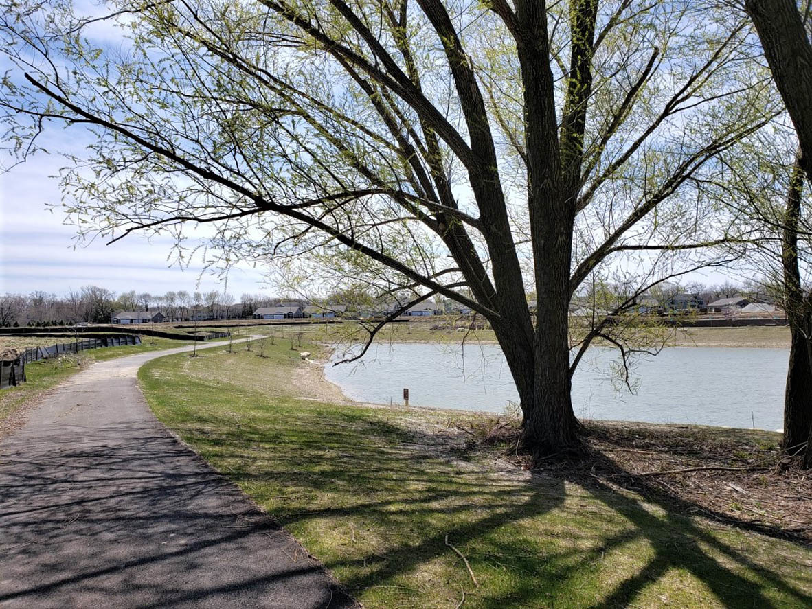 283 Ridley Street North Aurora, IL 60542 - Photo 28 of 40 a view of a yard with a tree
