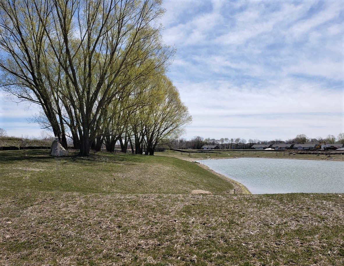 283 Ridley Street North Aurora, IL 60542 - Photo 30 of 40 a view of a lake with houses in the back