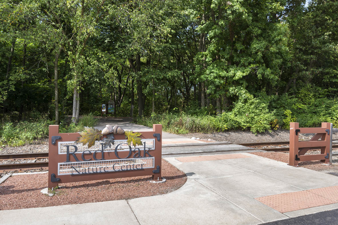 283 Ridley Street North Aurora, IL 60542 - Photo 31 of 40 a view of a bench in a backyard