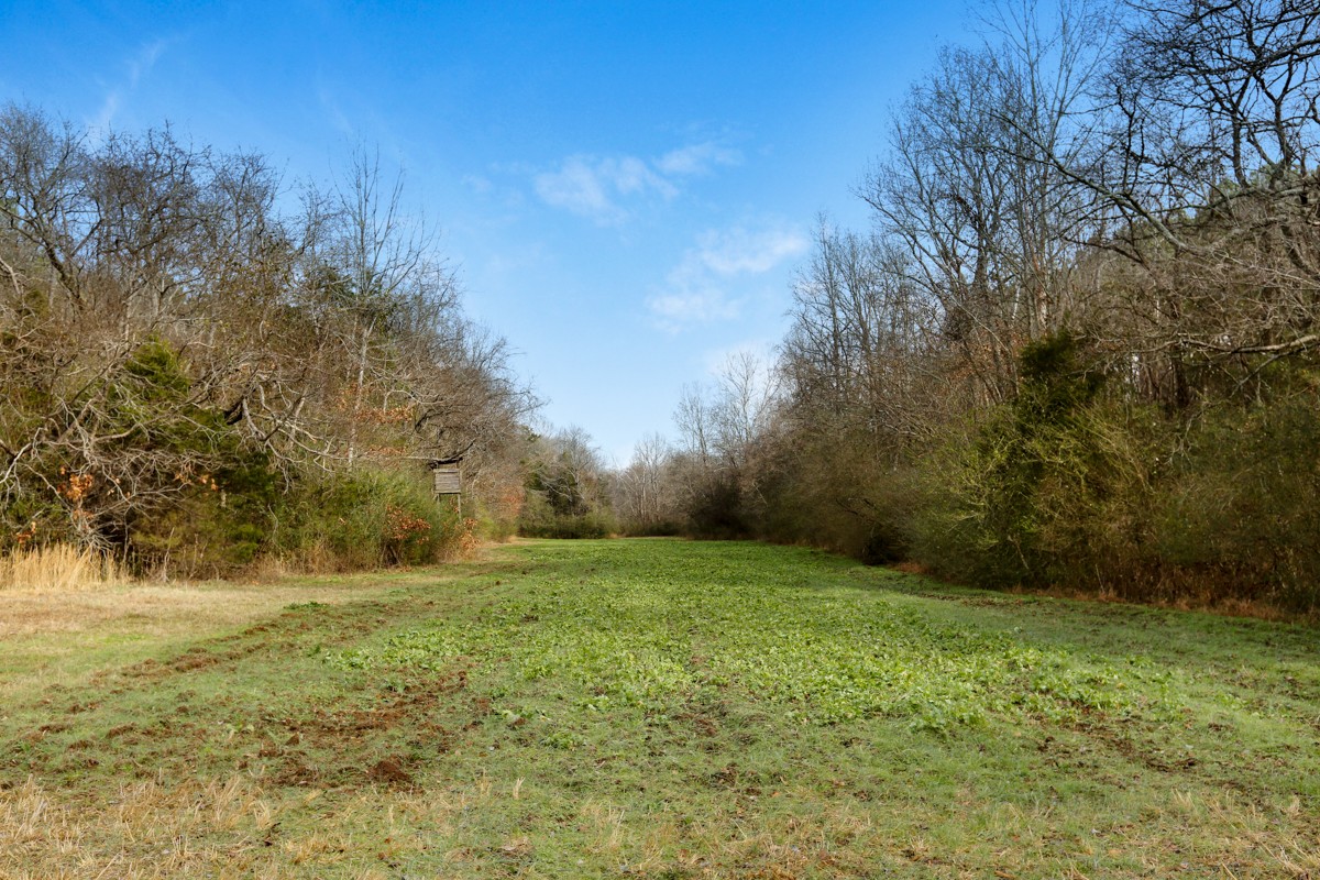 1449 Pleasant Hill Road Prospect, TN 38477 - Photo 14 of 26 a view of an outdoor space and a yard