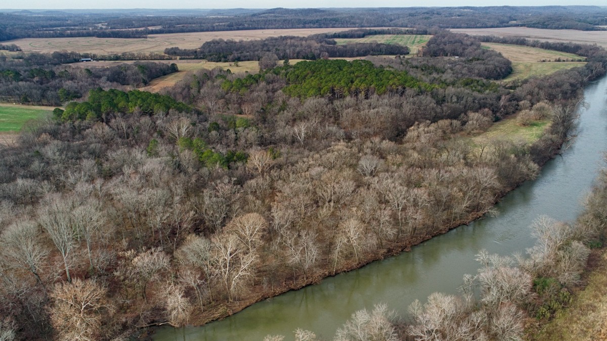 1449 Pleasant Hill Road Prospect, TN 38477 - Photo 3 of 26 a view of a forest with a lake