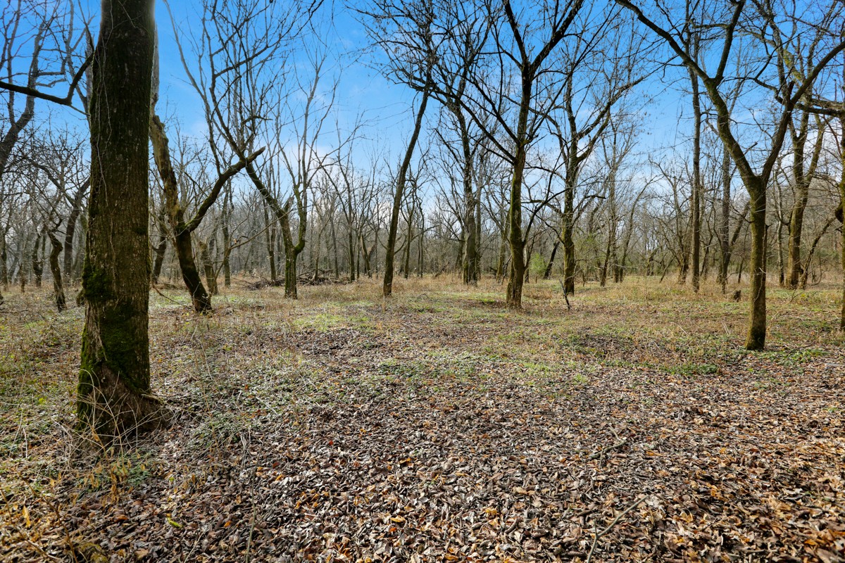 1449 Pleasant Hill Road Prospect, TN 38477 - Photo 22 of 26 a view of a yard with trees
