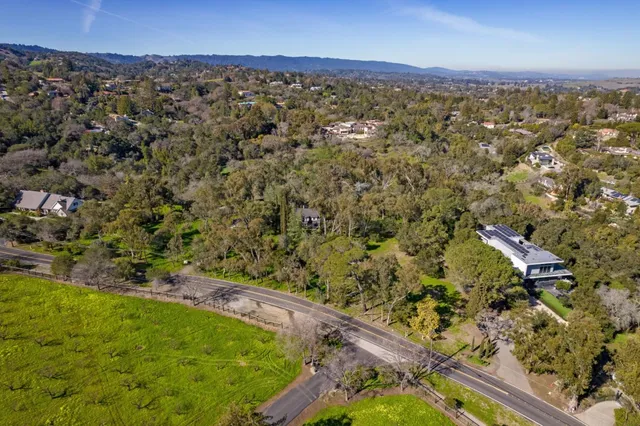 a view of a yard with plants and trees