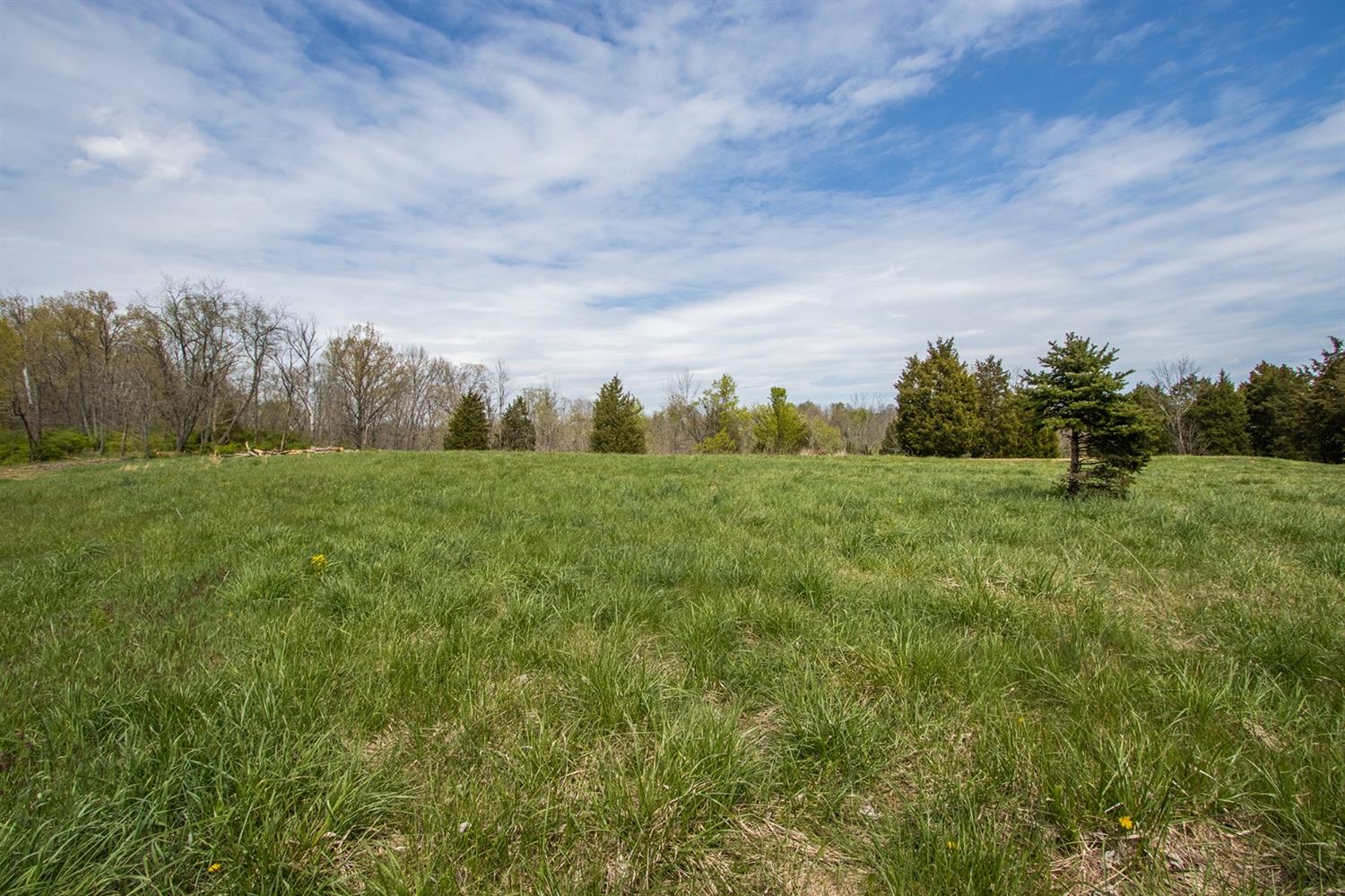 15225 Goose Run Road Aurora, IN 47001 - Photo 16 of 84