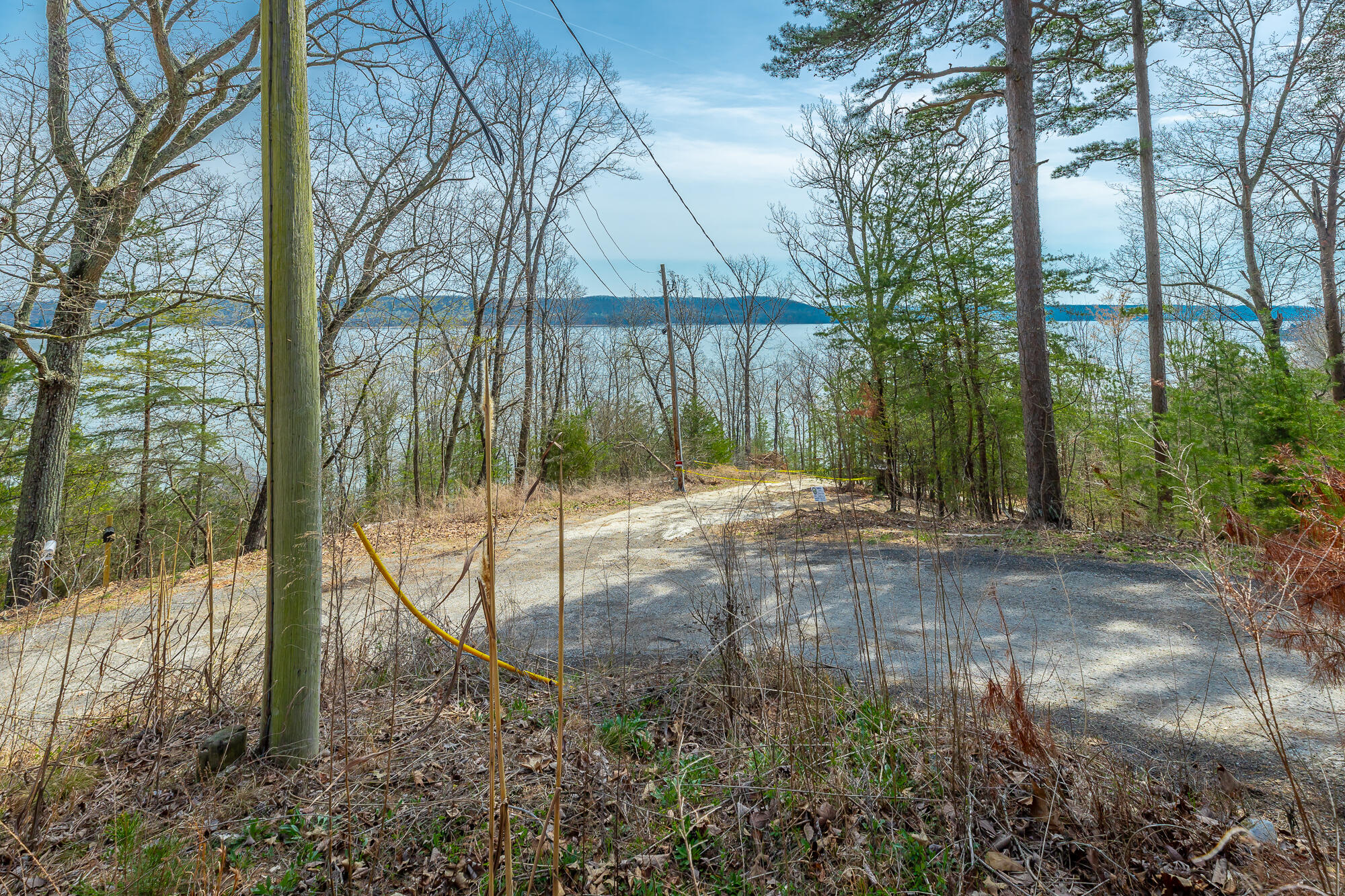 0 William Drive Spring City, TN 37381 - Photo 2 of 12 View from property