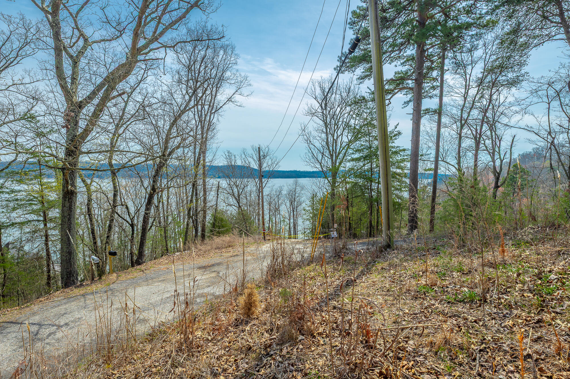 0 William Drive Spring City, TN 37381 - Photo 3 of 12 View of Tennessee River
