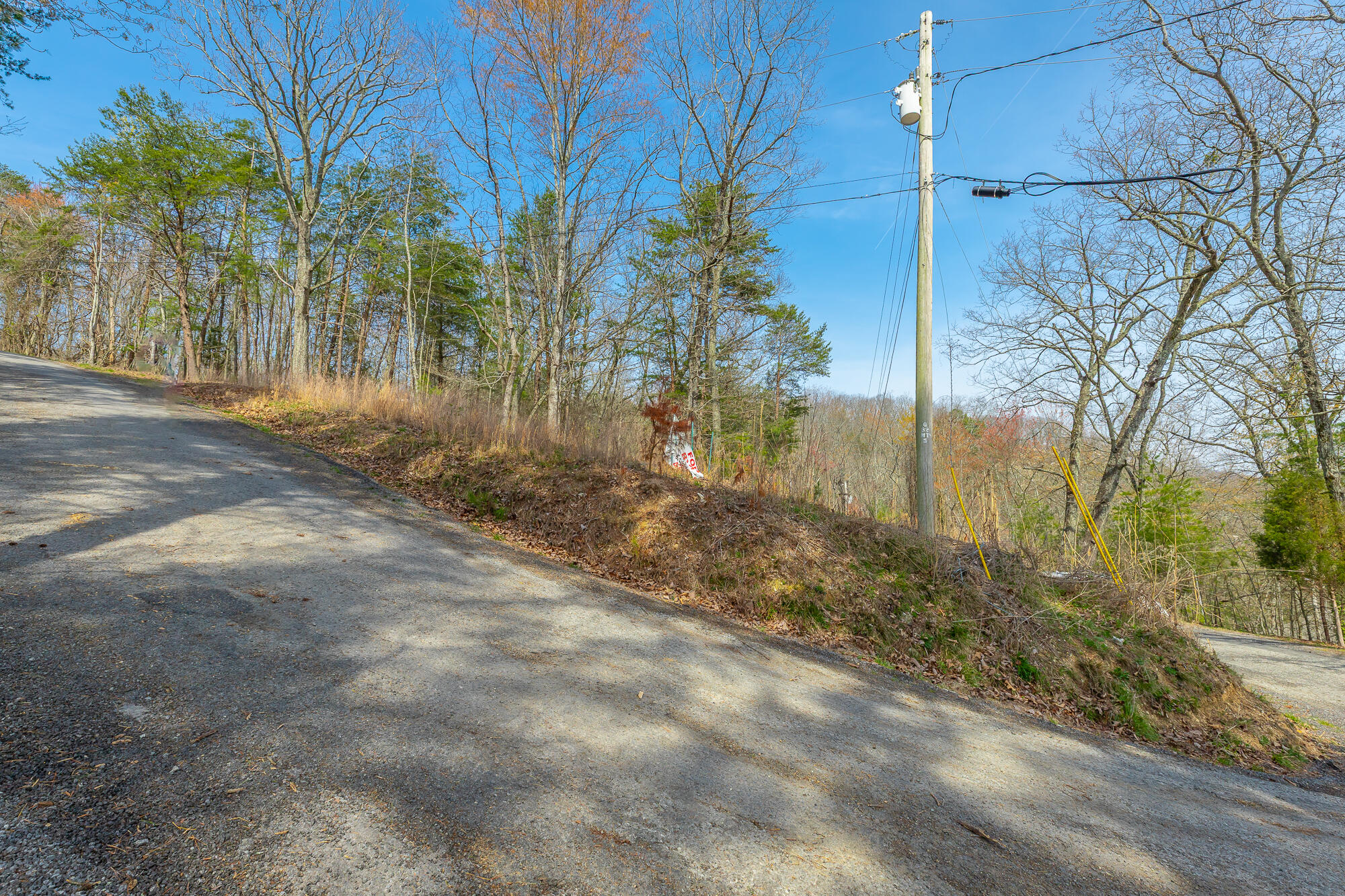 0 William Drive Spring City, TN 37381 - Photo 4 of 12 William Drive