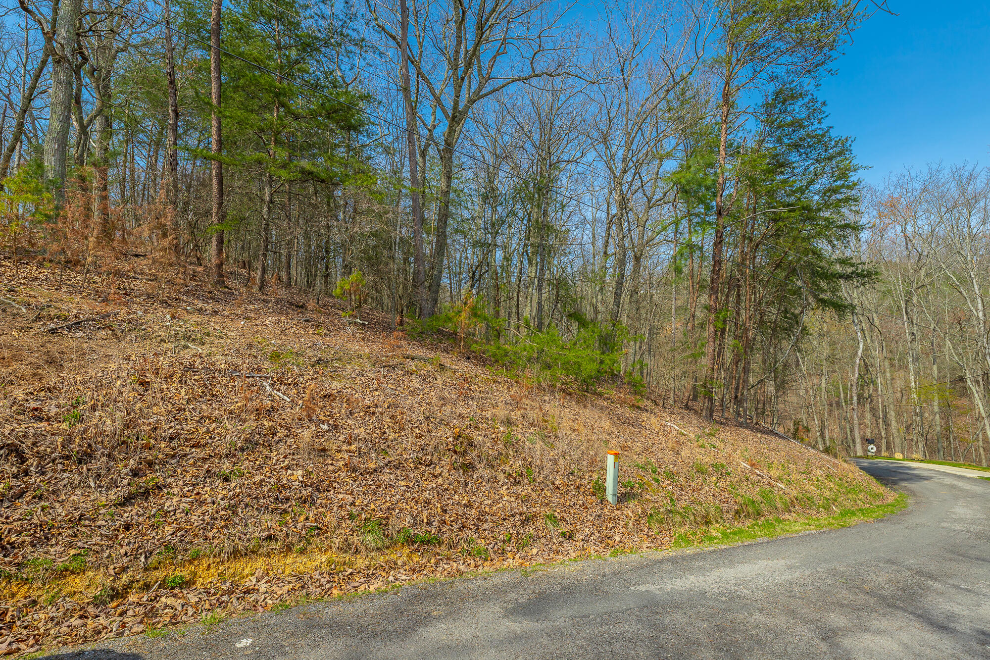 0 William Drive Spring City, TN 37381 - Photo 5 of 12 View from road