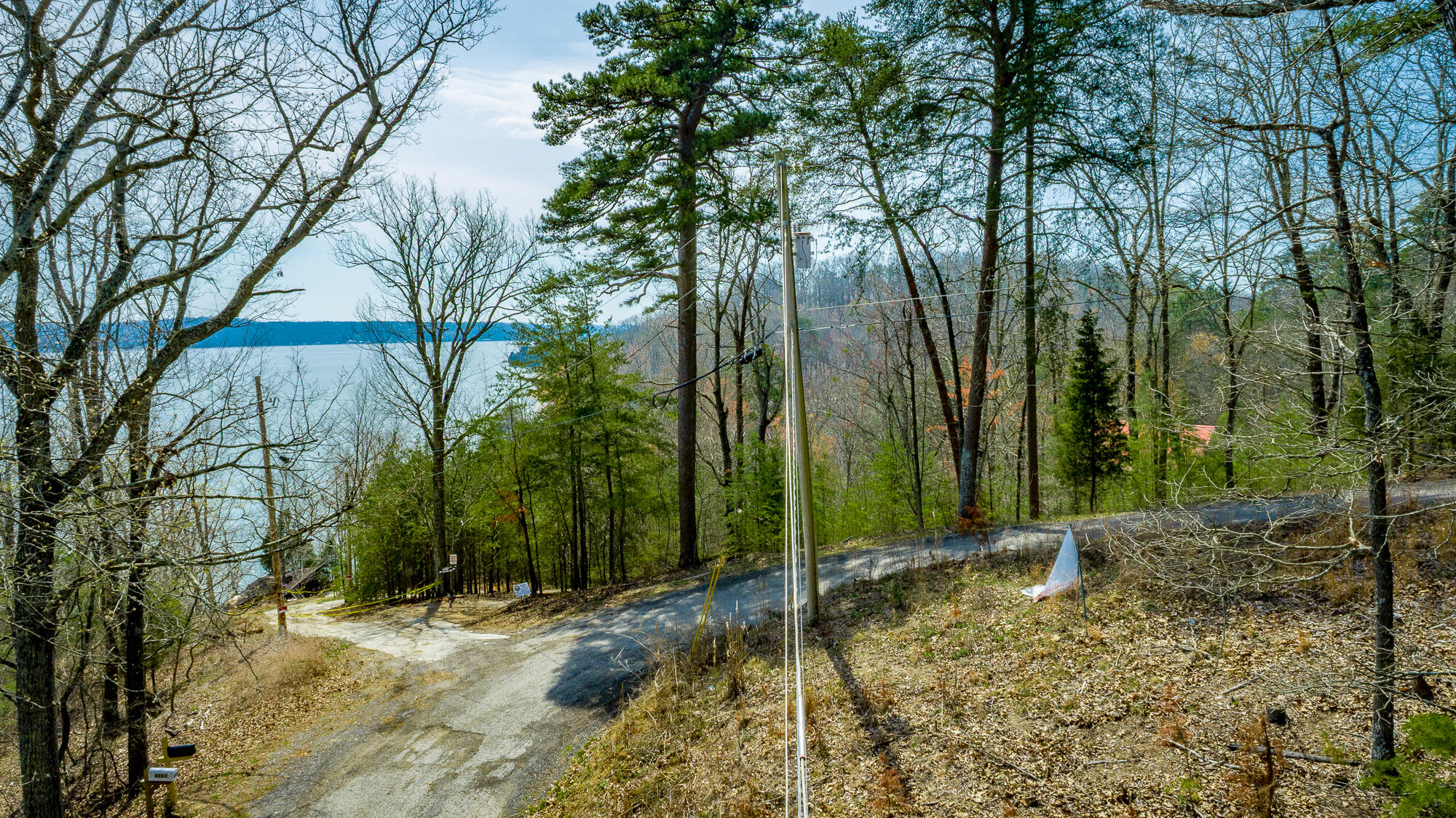 0 William Drive Spring City, TN 37381 - Photo 6 of 12 William Drive