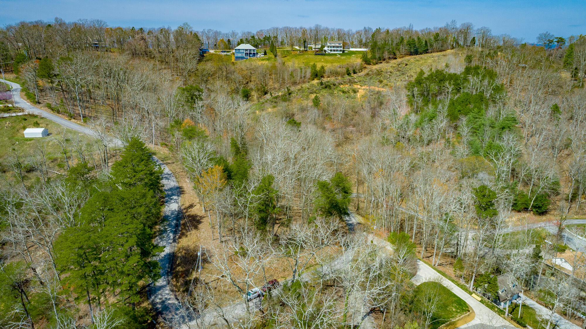 0 William Drive Spring City, TN 37381 - Photo 7 of 12 Aerial of area