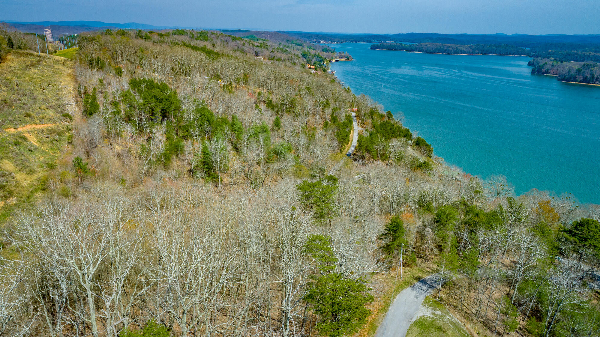 0 William Drive Spring City, TN 37381 - Photo 10 of 12 Aerial of area