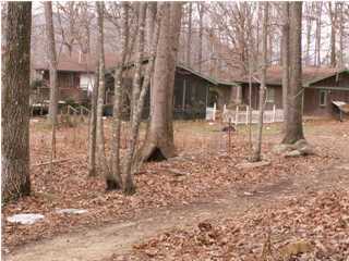 924 Dancing Fern Road Sequatchie, TN 37374 - Photo 1 of 5 Primary Photo