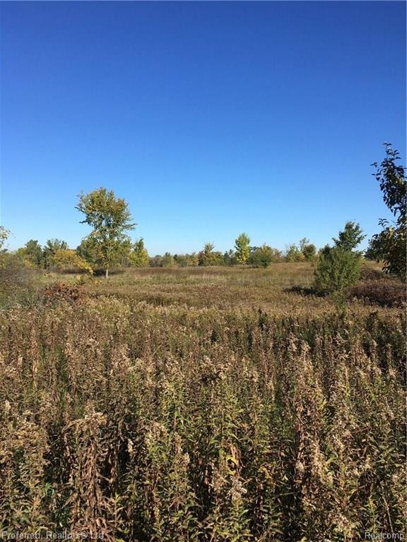 3375 Five Mile Road South Lyon, MI 48178 - Photo 8 of 11