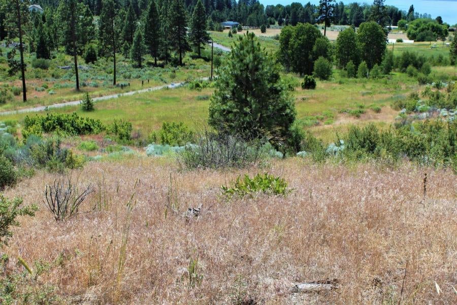 41-07 Ranch Road Chiloquin, OR 97624 - Photo 12 of 13 View from Top Lot
