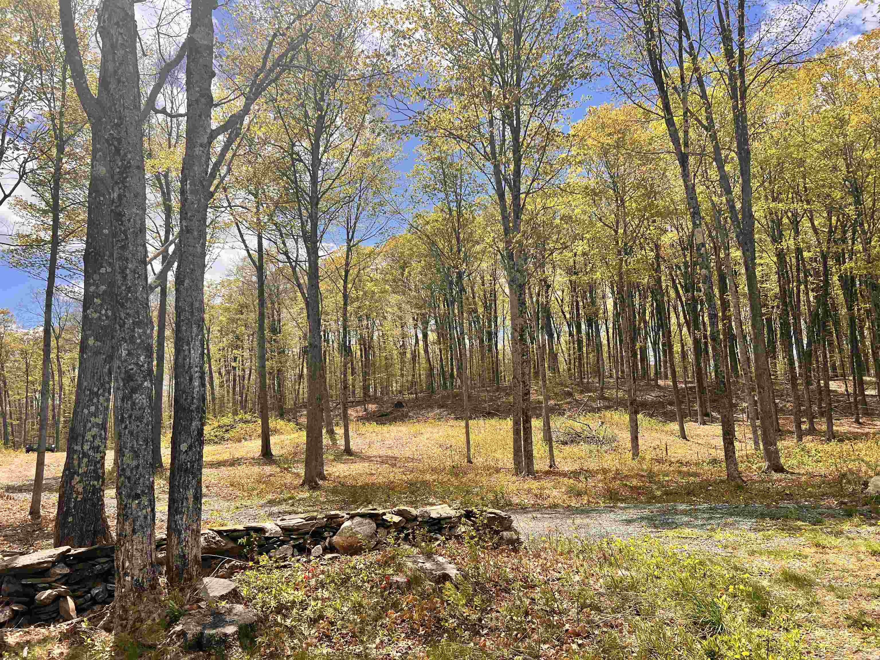 119 Advent Hill Road Hartland, VT 05048 - Photo 2 of 41